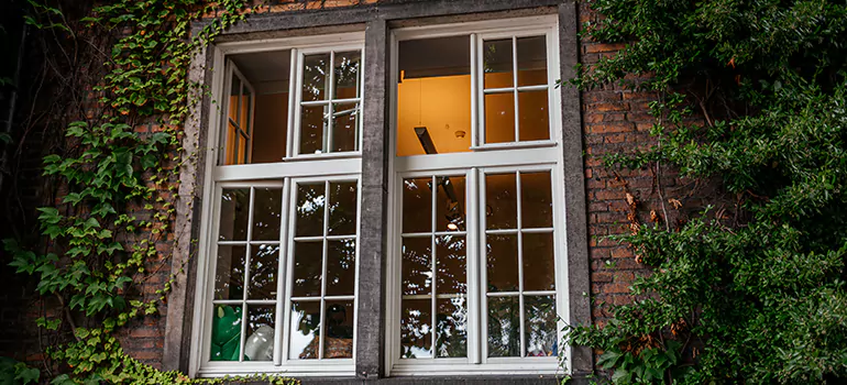Energy Efficient Wood Windows in South San Francisco, CA