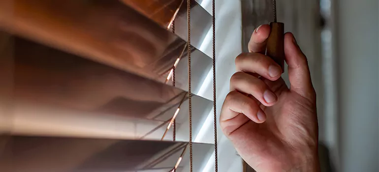 Double Roller Blinds in South San Francisco, CA