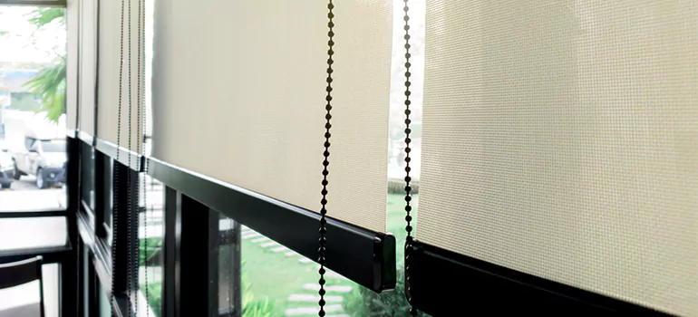 Blackout Window Shades in South San Francisco, CA