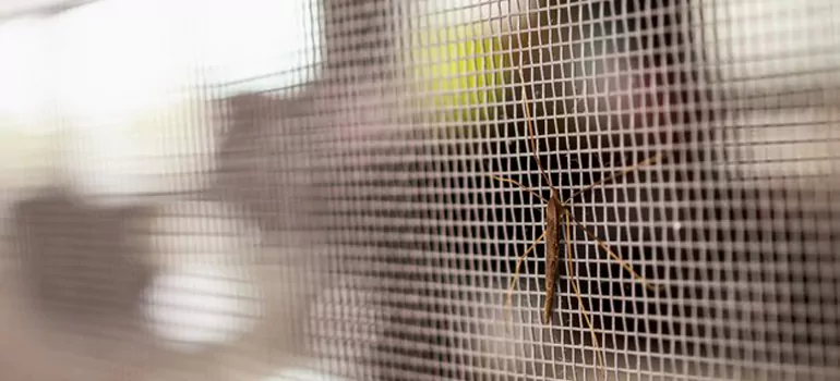 Repair Mosquito Mesh For Windows in South San Francisco, CA