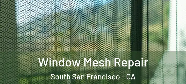  Window Mesh Repair South San Francisco - CA