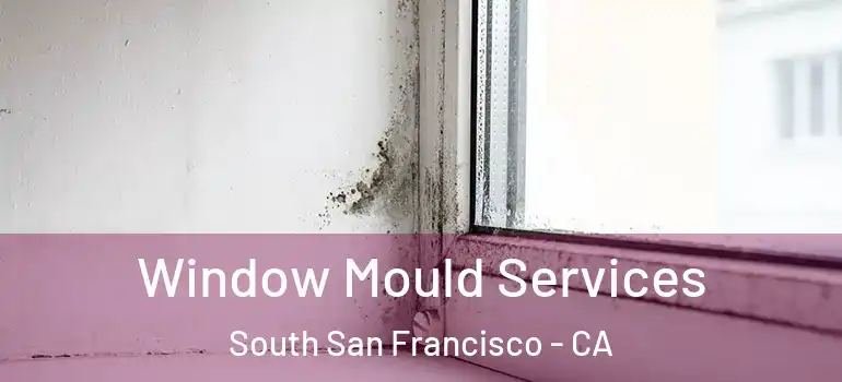  Window Mould Services South San Francisco - CA
