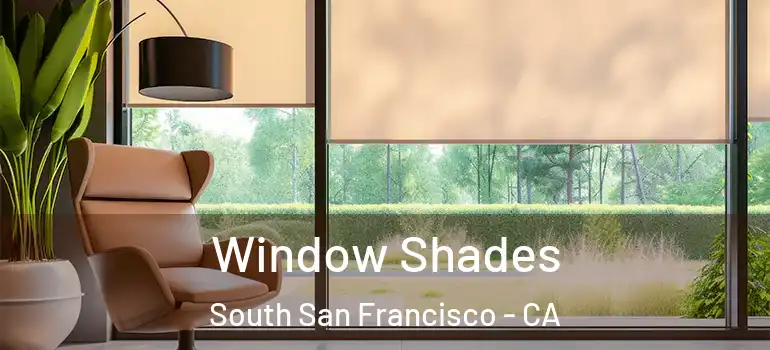  Window Shades South San Francisco - CA